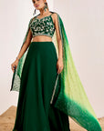 Plain Lehenga with Heavy Hand Embroidered Blouse and Shaded Organza Dupatta