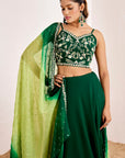 Plain Lehenga with Heavy Hand Embroidered Blouse and Shaded Organza Dupatta