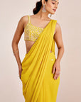 Cute Hand Embroidered Blouse with Pre-Draped Saree and Embroidered Pallu