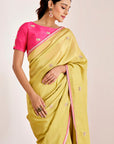 Shimmer Saree with Elephant Motif Pallu and Contrasting Blouse