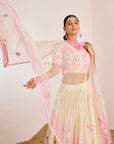 Mirror Work Blouse with Embroidered Lehenga and Shaded Net Dupatta