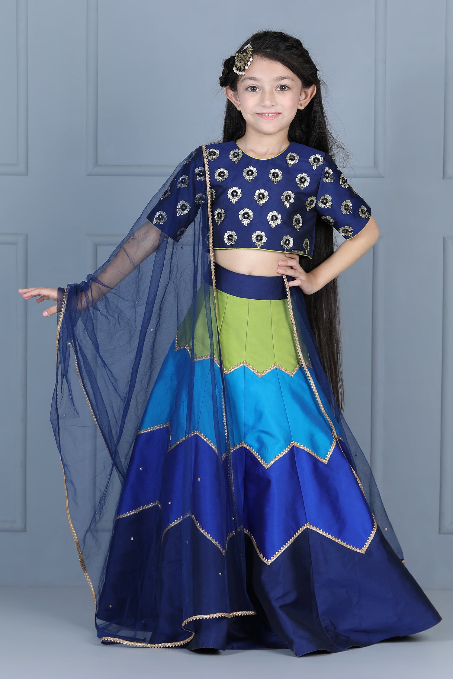 Embriodered Choli with Multi Colour Lehenga