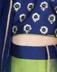 Embriodered Choli with Multi Colour Lehenga