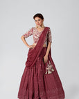 Maroon Crop Top and Pleated Skirt Lehenga with Feather and Mirror Work Details