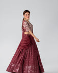 Maroon Crop Top and Pleated Skirt Lehenga with Feather and Mirror Work Details