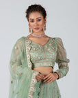 Elegant Embroidered Lehenga Set
