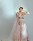 Hand Embroidered Lehenga with Feather Sleeves and Ruffle Dupatta
