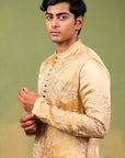 ZARI BAAGH