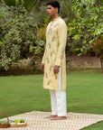 Ambi Kurta