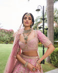 Orchid Lehengas
