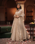Maya Silver Silk Tissue Jaal Lehenga Set