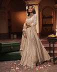 Maya Silver Silk Tissue Jaal Lehenga Set