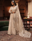 Maya Silver Silk Tissue Jaal Lehenga Set
