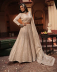 Maya Silver Silk Tissue Jaal Lehenga Set