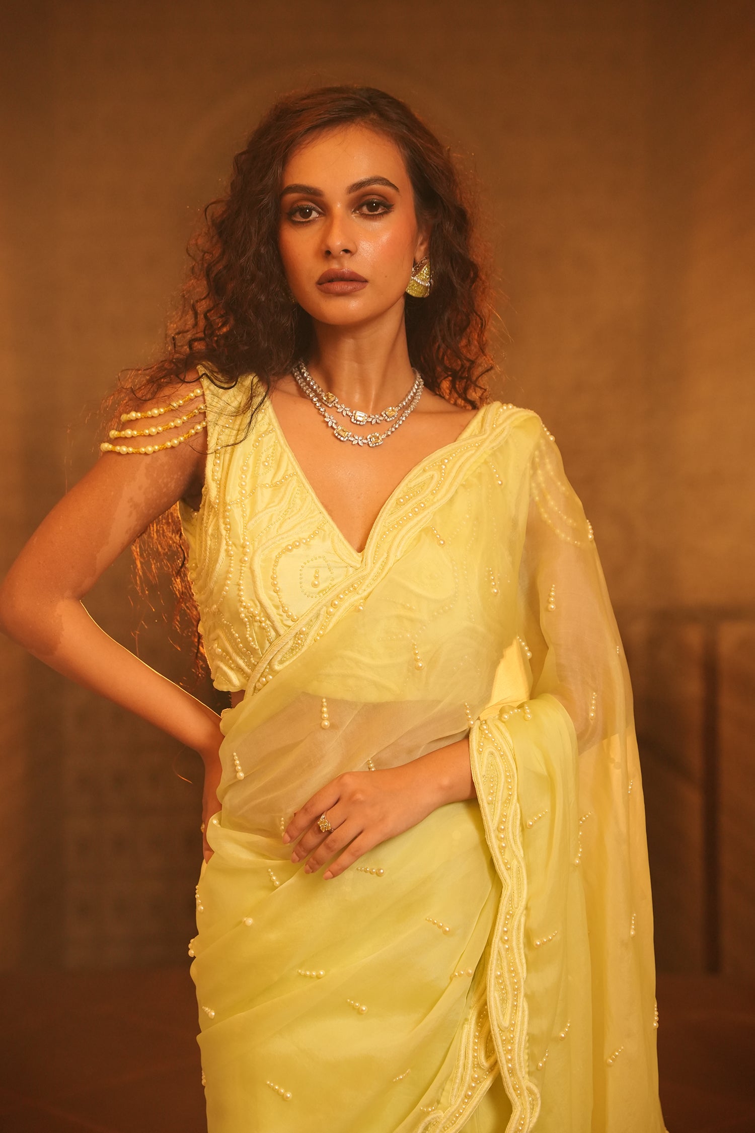 TT Heavy Embroidery Blouse With Organza Saree