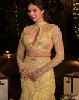 Butter Yellow Mermaind Lehenga Set. 2 (Skirt + Blouse)