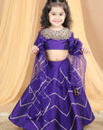 Lehenga Choli Set