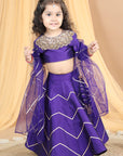 Lehenga Choli Set