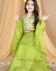 Lehenga with Blouse with Leather Work