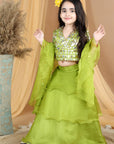 Lehenga with Blouse with Leather Work