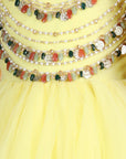 Anarkali with Embroidert
