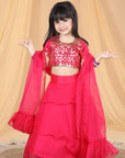 Organza Lehenga with Leather Patching
