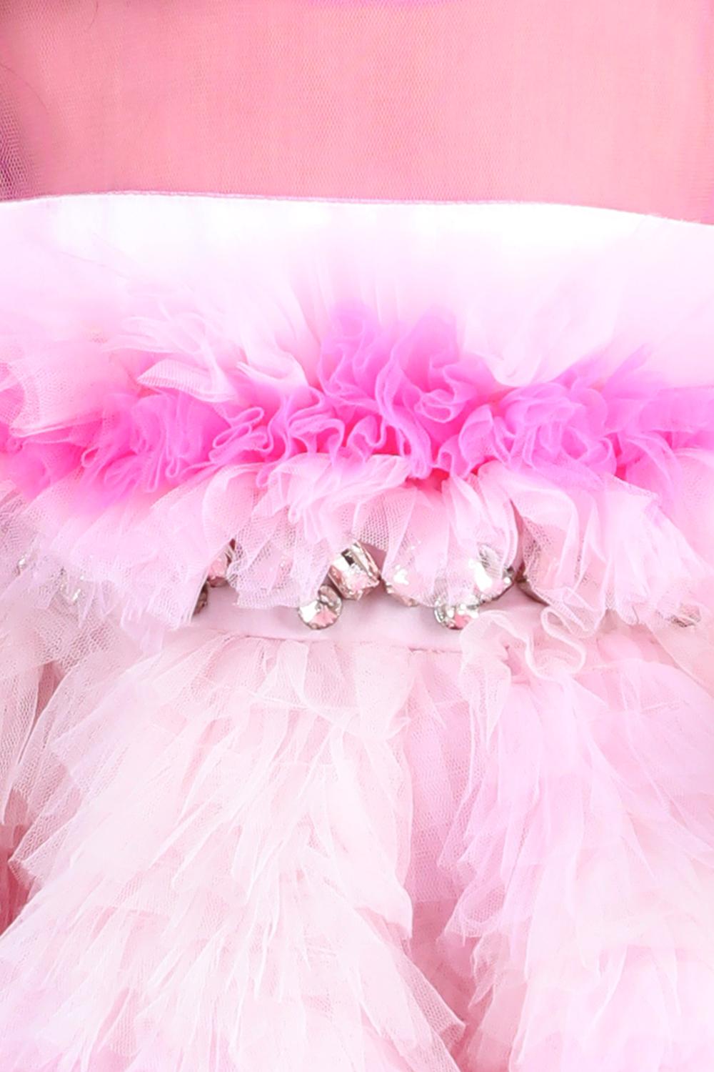 Knee Length Dress With Ombre Tulles