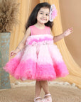 Knee Length Dress with Ombre Tulles