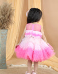 Knee Length Dress with Ombre Tulles