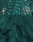 Tuelle Dress with  Thread Embroidery and Swarovski Embellished Empire