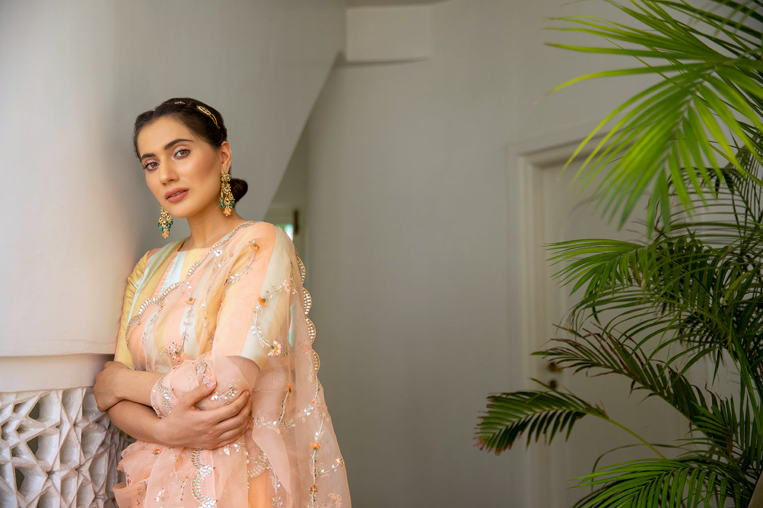 Peach Hand Embroidered Jaal Saree Set