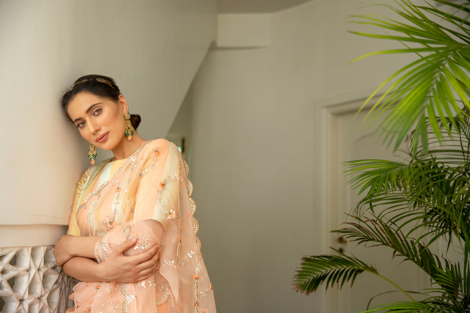 Peach Hand Embroidered Jaal Saree Set