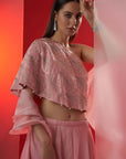 One Shoulder Crop Top and Skirt Lehenga with Feather and Mirror Work