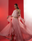 One Shoulder Crop Top and Skirt Lehenga with Feather and Mirror Work