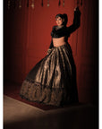 Zinnwaldite Brown Lehenga