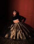 Zinnwaldite Brown Lehenga
