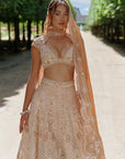 Rust Lehenga Set