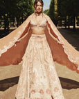 Rust Lehenga Set