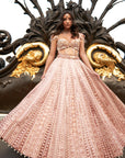Brown Lehenga Set