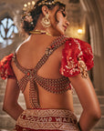 Anant Pichwai Saga Lehenga Set