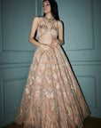 Desert Dust Lehenga Set