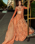 OraNge Pre draped saree