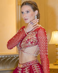 Rubeus Red lehenga set