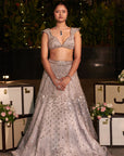 Shahi Shimmer Lehenga Set. 3 (Lehenga + Blouse + Dupatta)