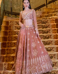 Hazel brew Brown lehenga Set