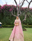 Orchid Lehengas