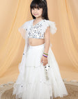 Lehenga with Mirror Work Blouse