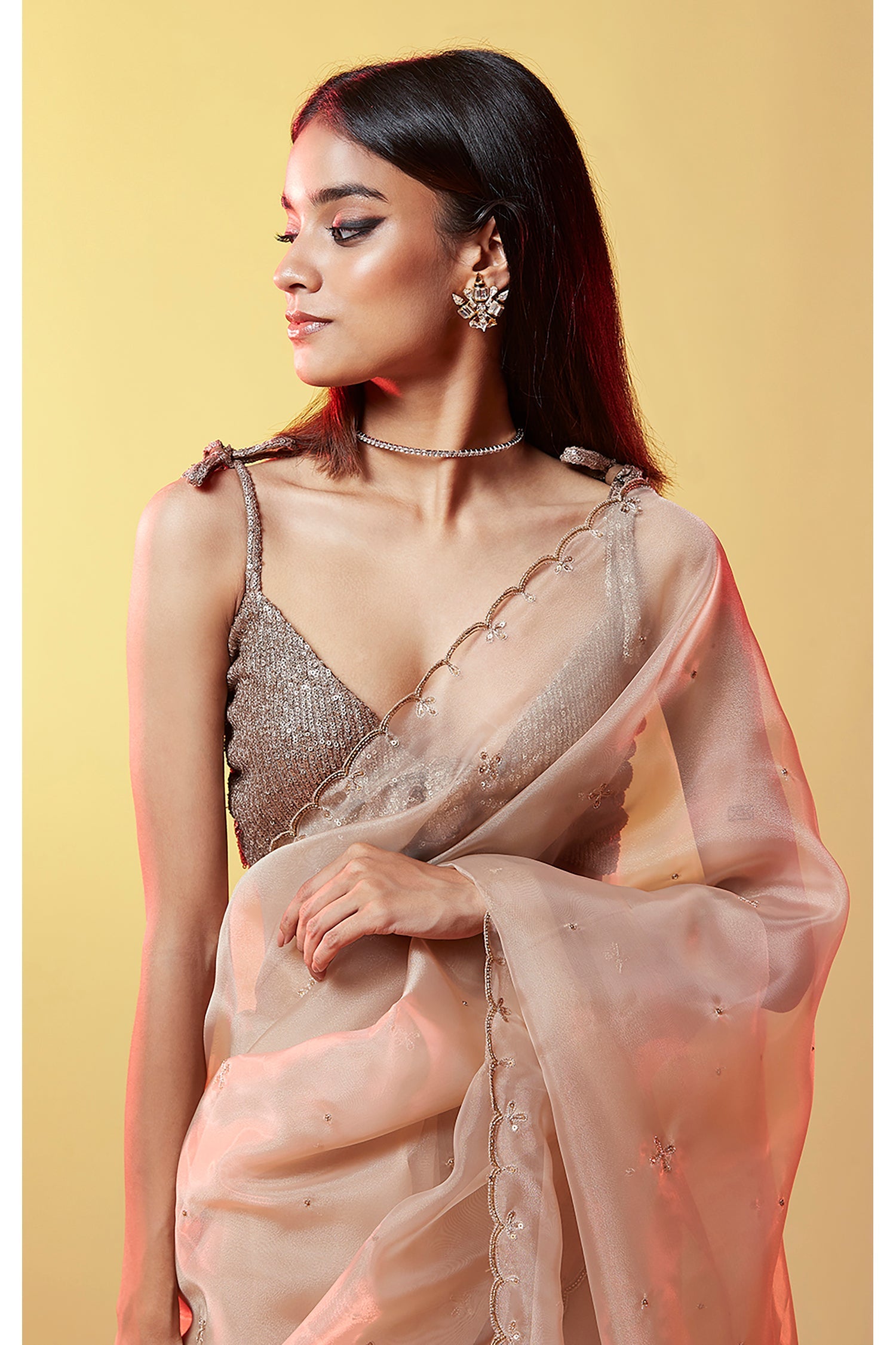 Gold Silk Organza Hand Embroidered Saree