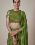 Olive Recycled Polyester Metallic Embroidered Lehenga Set