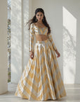 Shanaya Gota Lehenga Set